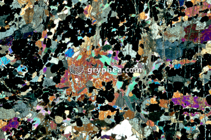 Eclogite LPA x3,5 - gryphea.org